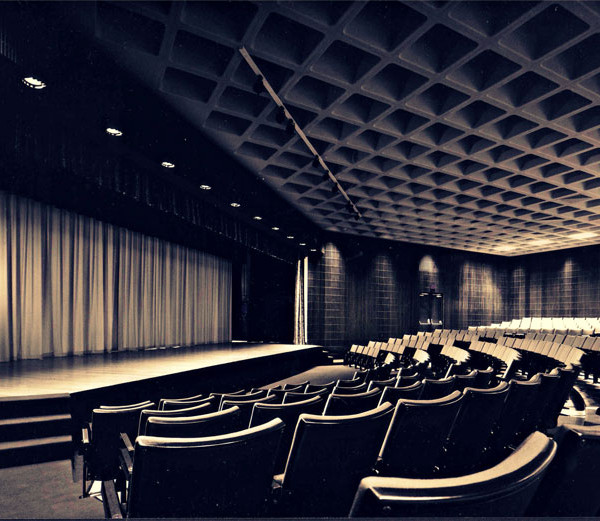 La Certosa di Pavia<br>Progetto di teatro sociale