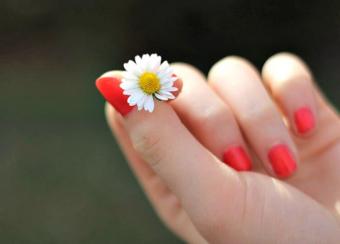 Micosi delle unghie e altri problemi