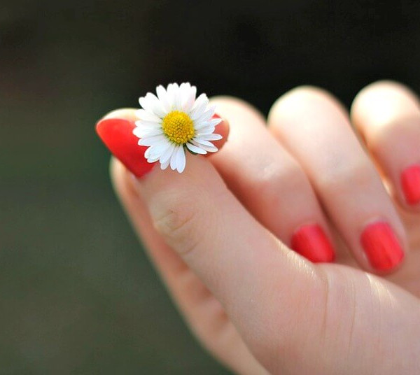 Micosi delle unghie e altri problemi