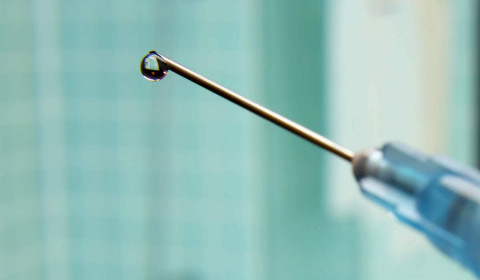 Ippocrate<br>Open day vaccinale 2025