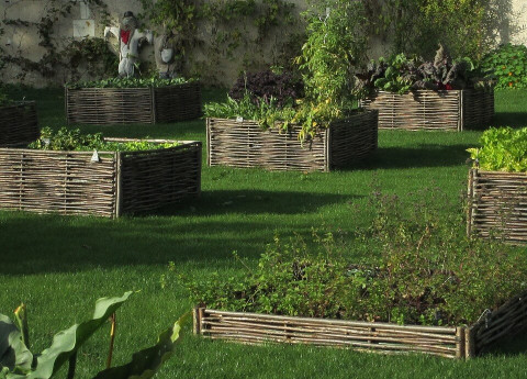 “Profumata…mente insieme!”: l’orto giardino terapeutico di Ca’ Vio