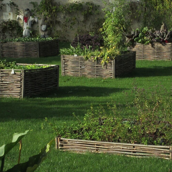 “Profumata…mente insieme!”: l’orto giardino terapeutico di Ca’ Vio