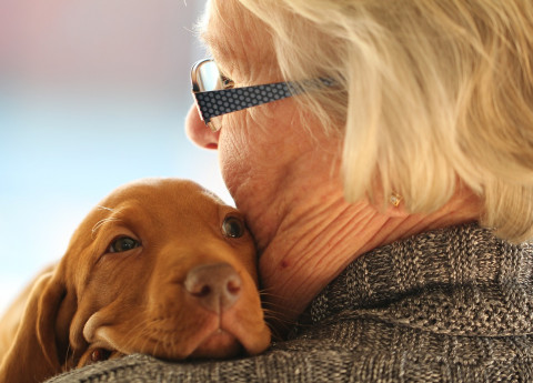 Residenza Vittoria: al via il progetto di residenzialità Pet-Friendly per over 65