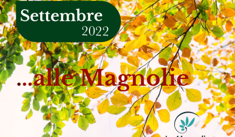 Le Magnolie | Settembre 2022