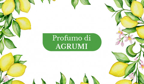 Villa Antea <br> Profumo d’agrumi