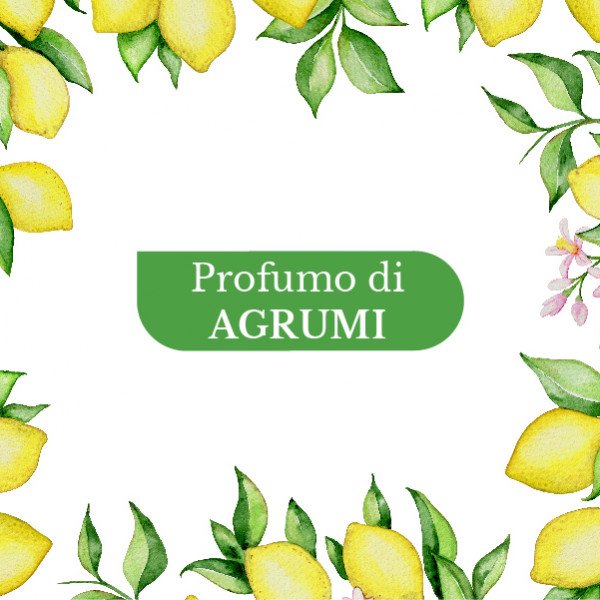 Villa Antea <br> Profumo d’agrumi