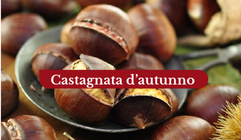 Beato Innocenzo <br> Castagnata 2024