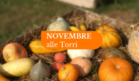 Le Torri <br> Novembre 2022