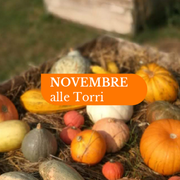 Le Torri <br> Novembre 2022