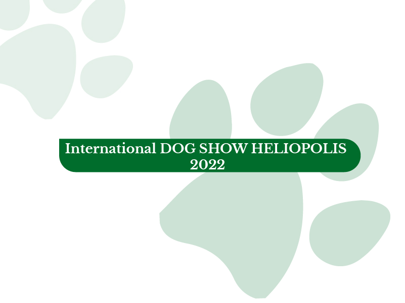 Heliopolis <br>International Dog Show