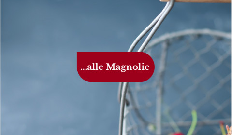 Le Magnolie <br>Novembre 2022