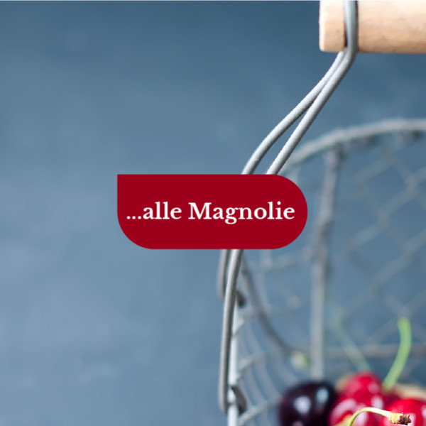 Le Magnolie <br>Novembre 2022