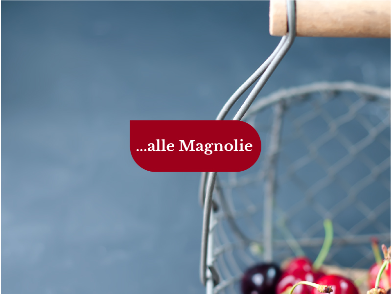 Le Magnolie <br>Novembre 2022