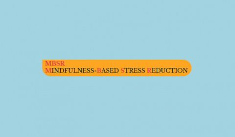 Bosco della Stella <br> Mindfulness