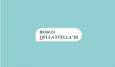 Bosco della Stella <br> In festa con i ragazzi della Croce Rossa