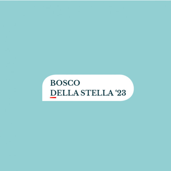 Bosco della Stella <br> In festa con i ragazzi della Croce Rossa