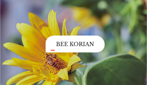 Saccardo<br>BeeKorian