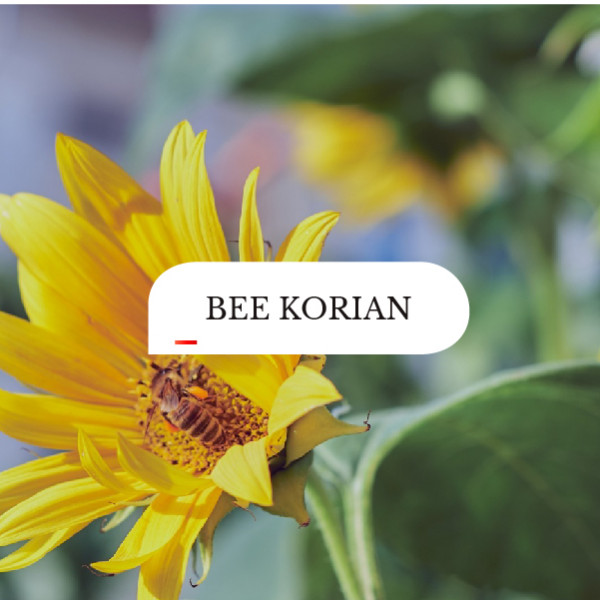 Saccardo<br>BeeKorian