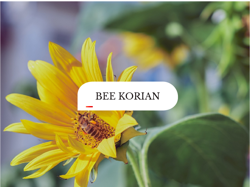 Saccardo<br>BeeKorian