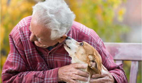 Il Valentino<br>Pet Therapy 2025