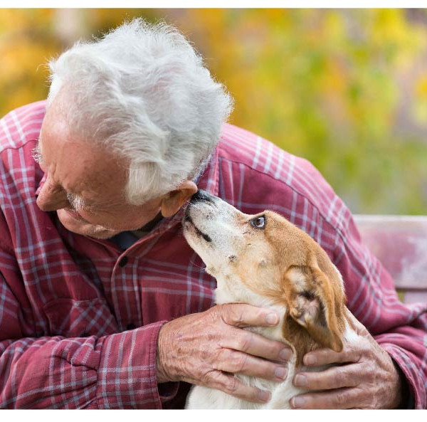 Il Valentino<br>Pet Therapy 2025