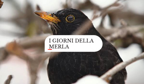 San Giorgio <br> I giorni della merla