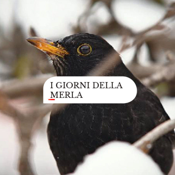 San Giorgio <br> I giorni della merla