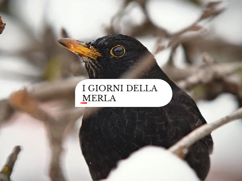 San Giorgio <br> I giorni della merla