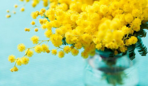 Sant’Andrea<br>Marzo 2023