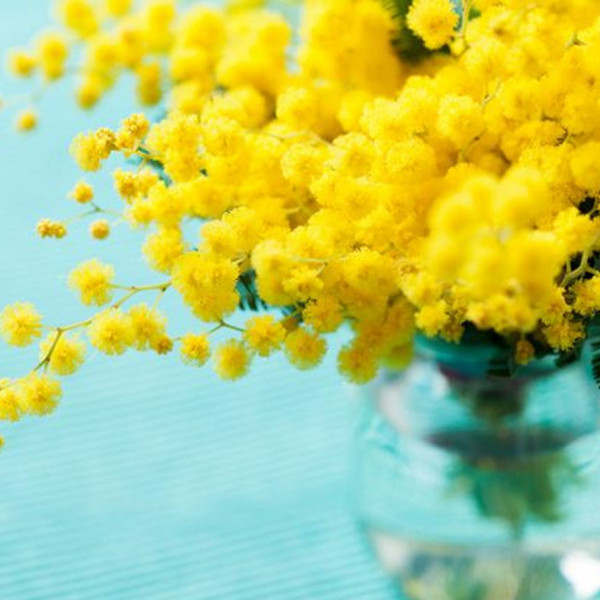 Mazzarello<br>Merenda in RSA