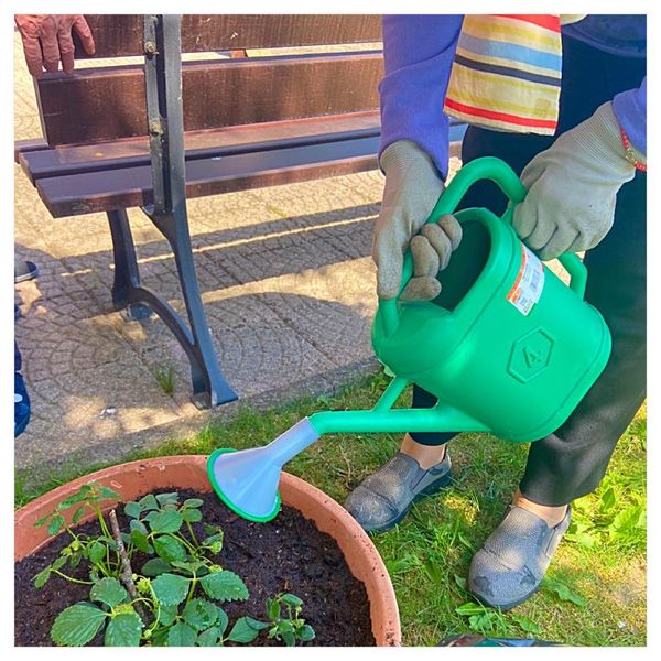 Heliopolis<br>Ortoterapia