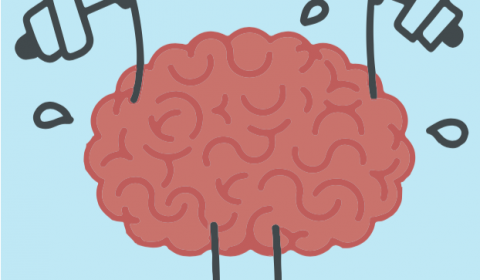 Sant’Andrea<br>Cervello in movimento