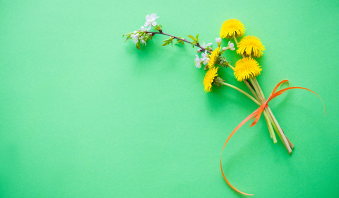 Crocetta<br>Tutti gli appuntamenti di Aprile