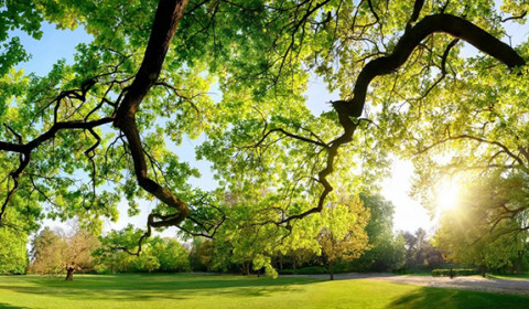 Villa Sacra Famiglia<br>La natura che cura