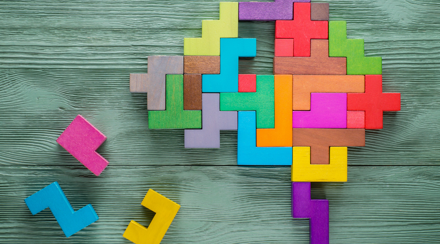 Sant’Andrea<br>Cervello in movimento