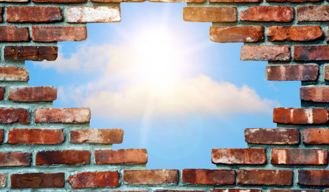 Bosco della Stella<br>Another brick in the wall