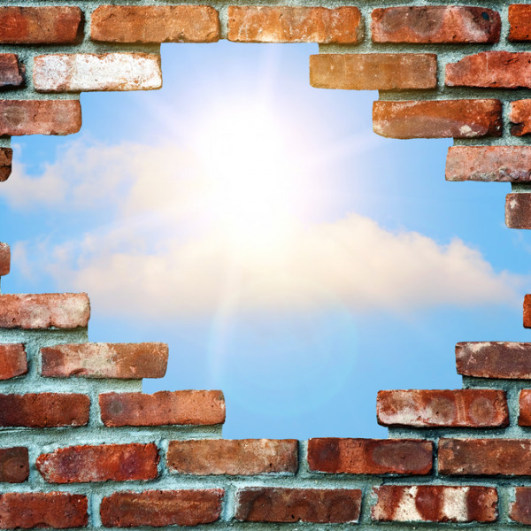 Bosco della Stella<br>Another brick in the wall