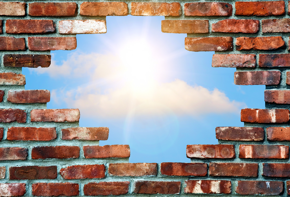 Bosco della Stella<br>Another brick in the wall