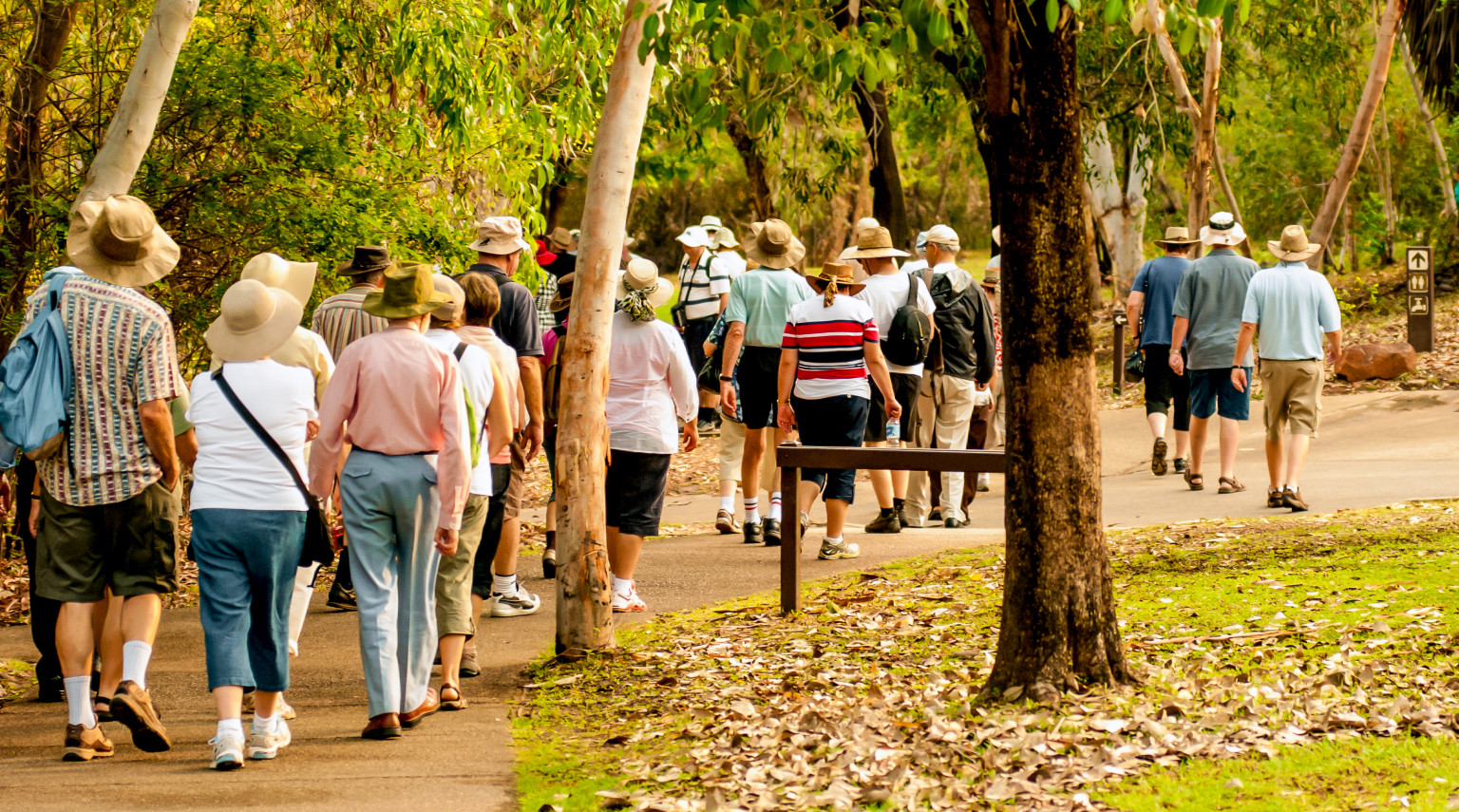 Santa Marta<br>Fisioterapia di gruppo