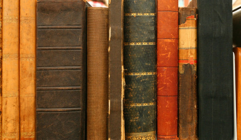 Villa San Clemente<br>Letture manzoniane