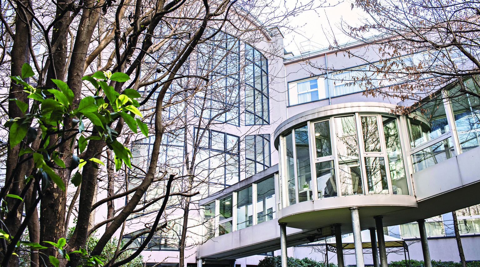 Santa Giulia e Chiara<br>Buon compleanno Santa Giulia