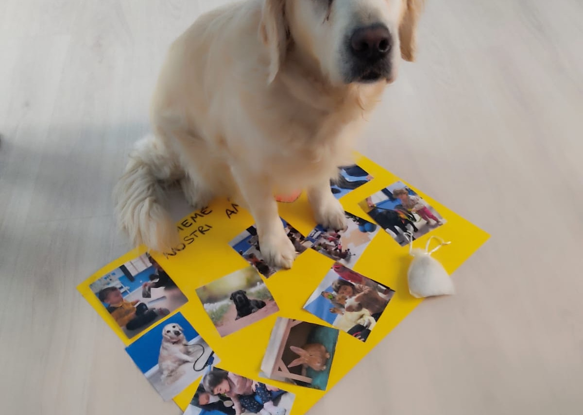 Heliopolis<br>Dog camp<br>Sguardi e coccole