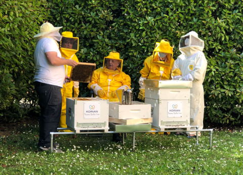 “Bee Korian”: l’iniziativa a tutela della Biodiversità