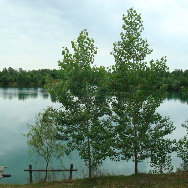 Giovanni Paolo II<br>Gita 2023