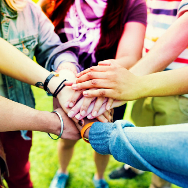 Bosco della Stella<br>Lo stress da accudimento