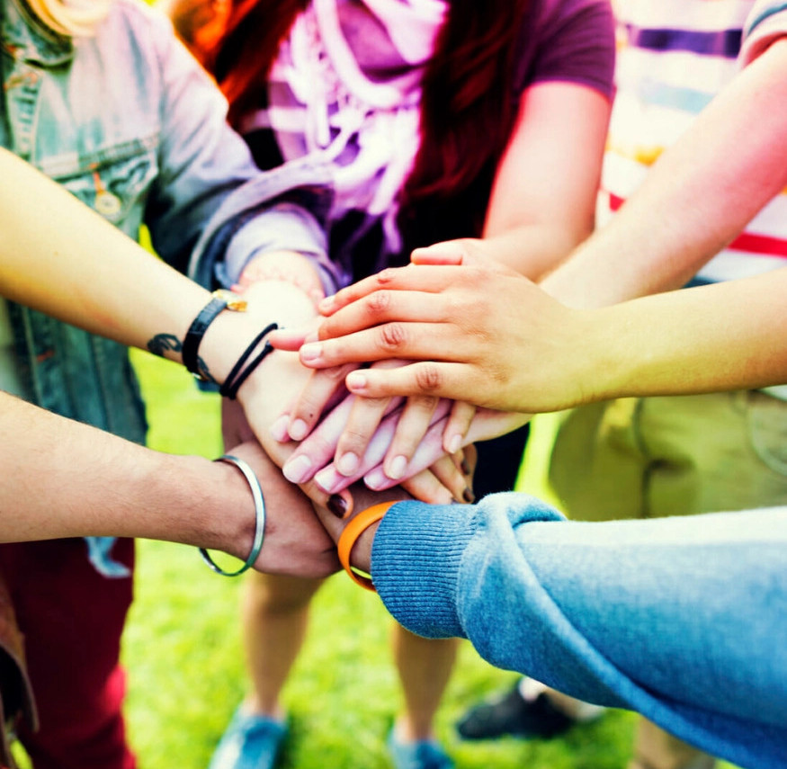 Bosco della Stella<br>Lo stress da accudimento