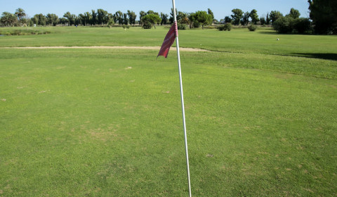 Villa Silvana e Villa Carla <br>Golfando