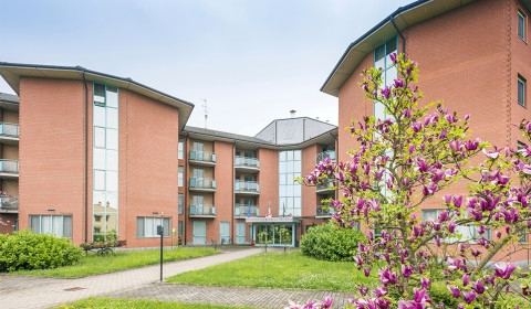 Villa Antea<br>Buon compleanno Villa Antea