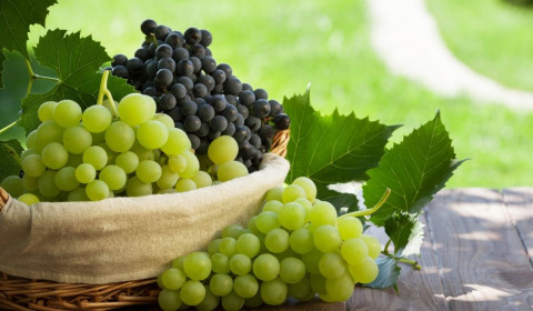 Heliopolis>br>Heliopolis in sagra 2025