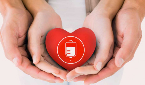 Bosco della Stella<br>Dona il sangue, condividi la vita: incontro informativo per Ospiti e Famiglie